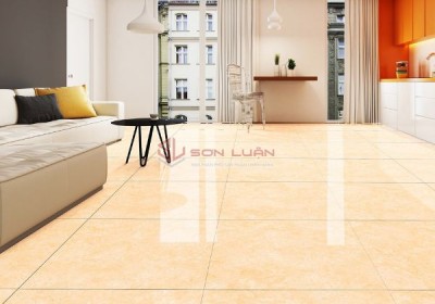 Gạch Ốp Lát APODIO 66182033